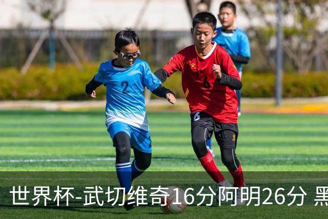 世界杯-武切维奇16分阿明26分 黑山大胜埃及