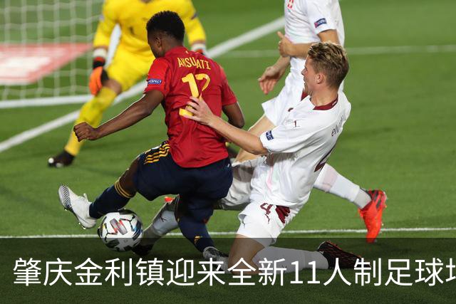 肇庆金利镇迎来全新11人制足球场，助力足球热潮！