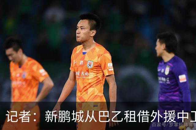 记者：新鹏城从巴乙租借外援中卫加布里埃尔，还在接触国内后腰